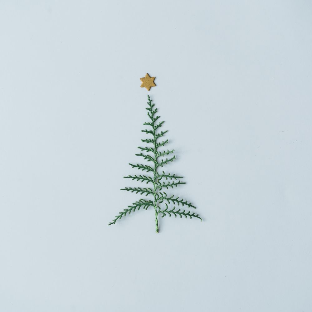 Christmas tree shape made with dingle branch with star on top