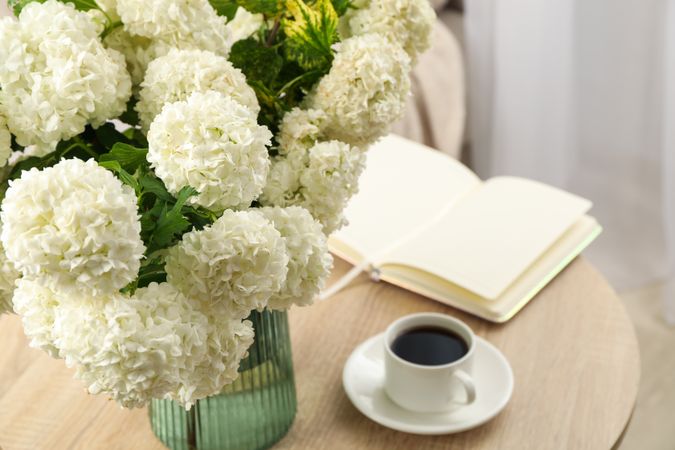 Composition with hydrangea flowers indoor. Spring plant