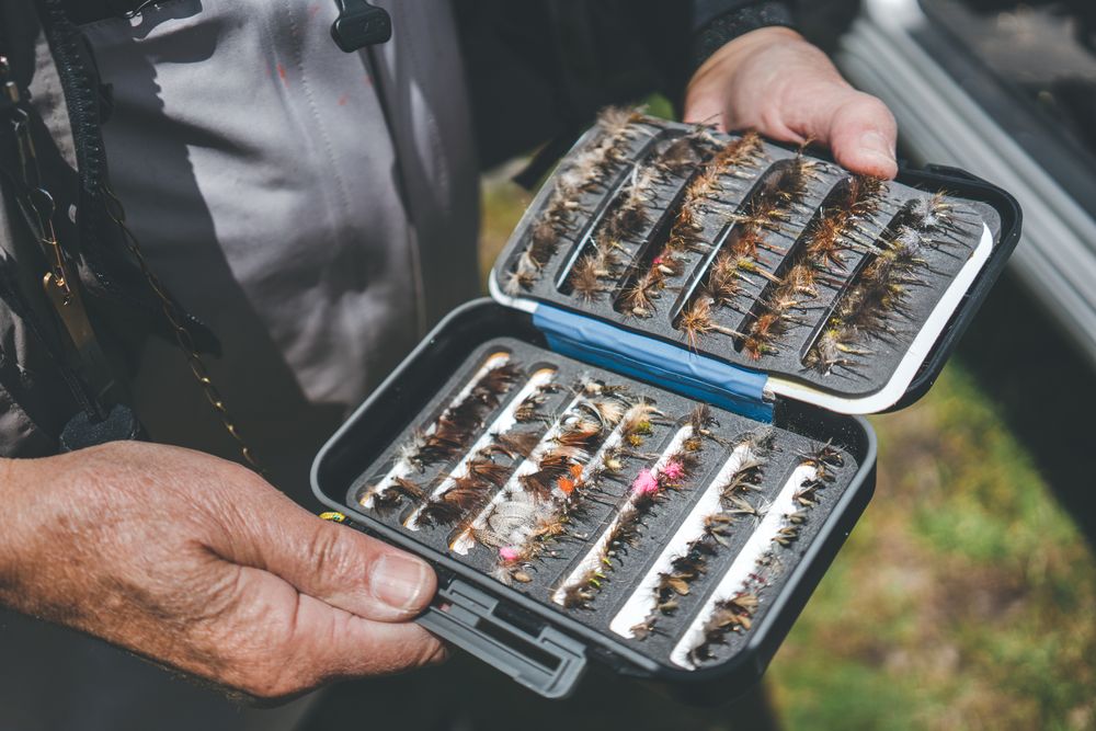 Fisherman demonstrating collection of baiting in box