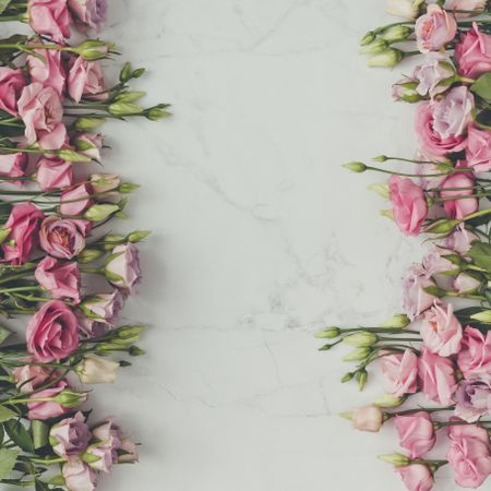 Pink flowers and leaves bordering marble background