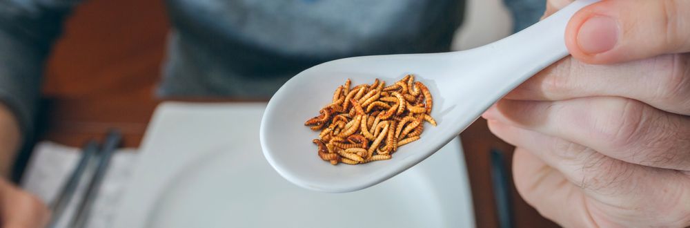 Man showing a spoonful of worms