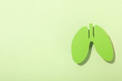 Green lungs on green background with copy space