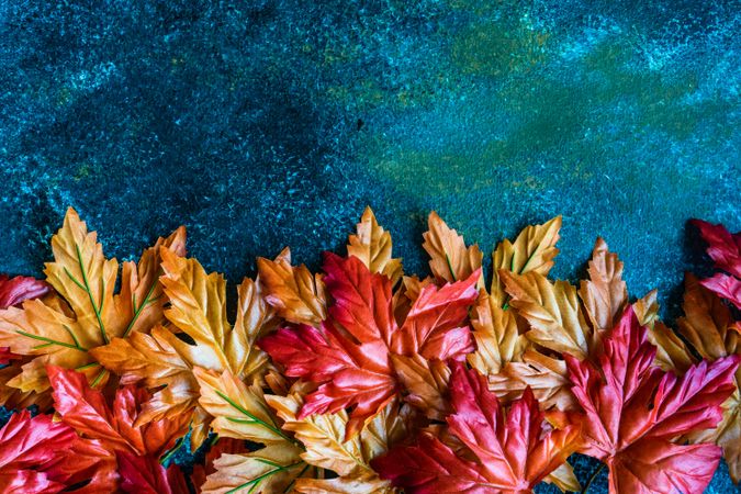 Teal background with autumn leaves