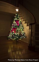 Decorated Christmas tree illuminated in home at night 5XBeGb
