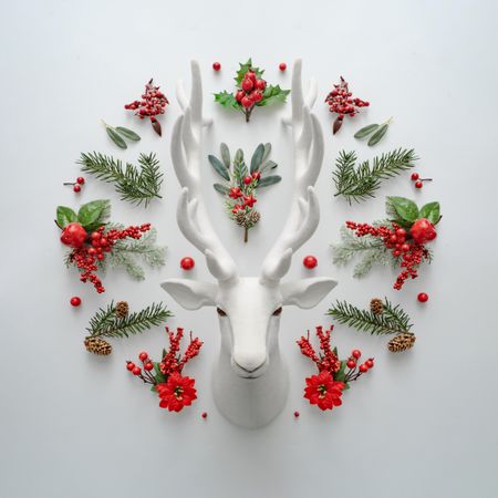 Mounted dear hear with decorative holiday branches and berries
