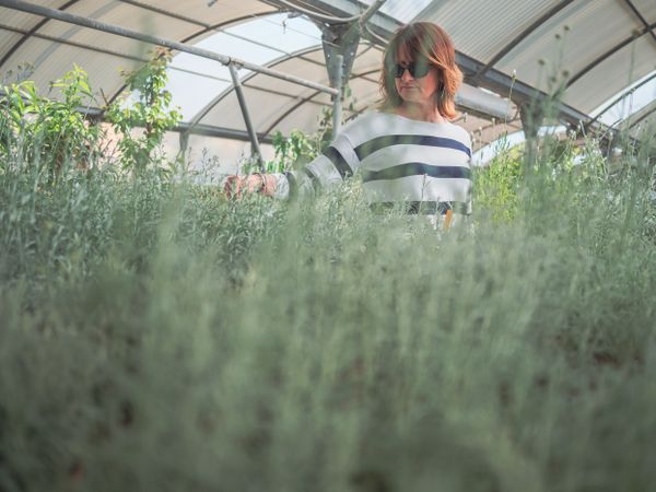 Thoughtful female choosing flowers on market