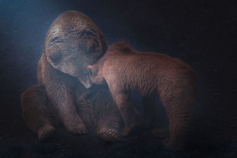 Mother bear playing with bear cubs