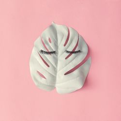 Face of false eyelashes on light leaf on pink background