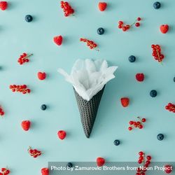 Flower in dark waffle cone on blue background with berries 5wwXL5