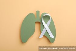 Green lungs cut out of paper with ribbon 48xlq4