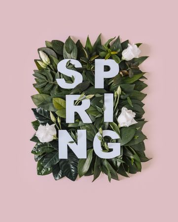 “SPRING” text with leaves and flowers