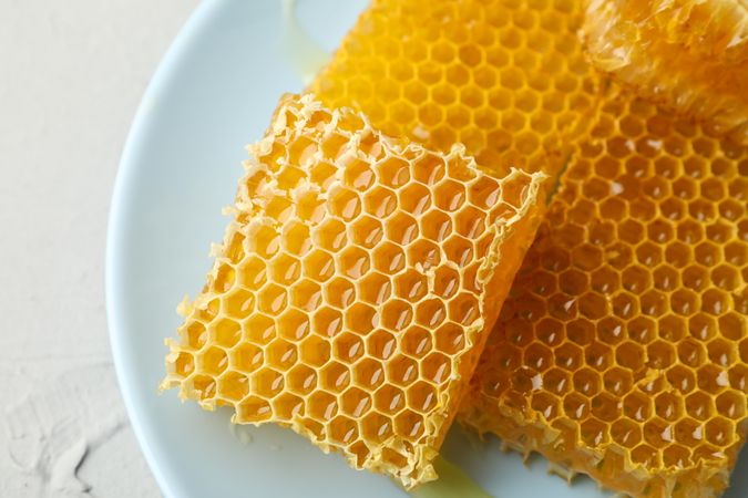 Plate with honeycombs on neutral background, close up