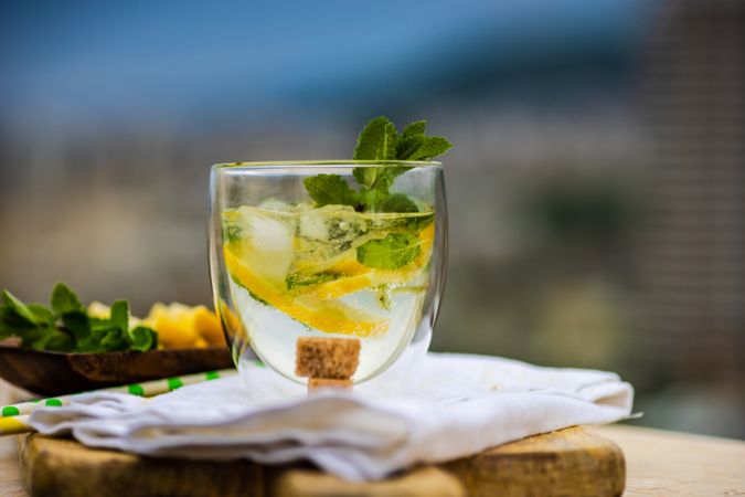 Fresh gin and tonic cocktail with lemon and mint