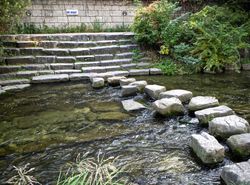 Stepping stones on a river