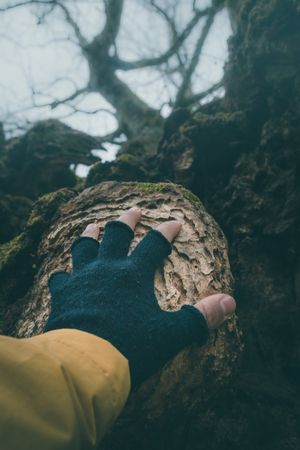 Faceless traveller touching old tree outdoors
