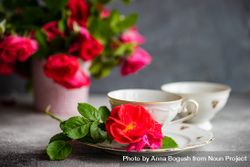 Side view of cup & saucer with red roses and copy space 5RVE6B
