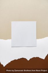 Earthy brown, beige and light torn paper background with square card 0KKOY0