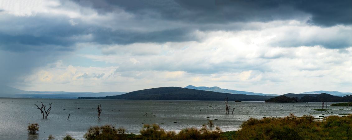 Lake Naivasha Nakuru City County Kenya East Africa Landscapes