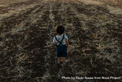 Back view of little boy in a field 5qZEp4