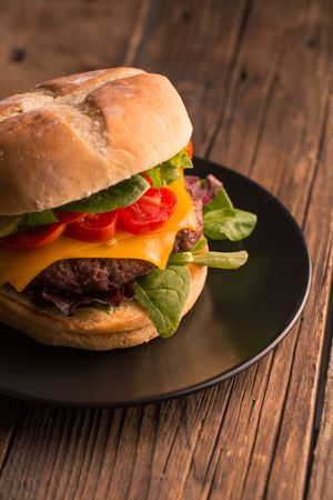 Homemade delicious burger