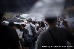 Back view of crowd of people holding umbrellas walking down the street in Japan 43rkx5