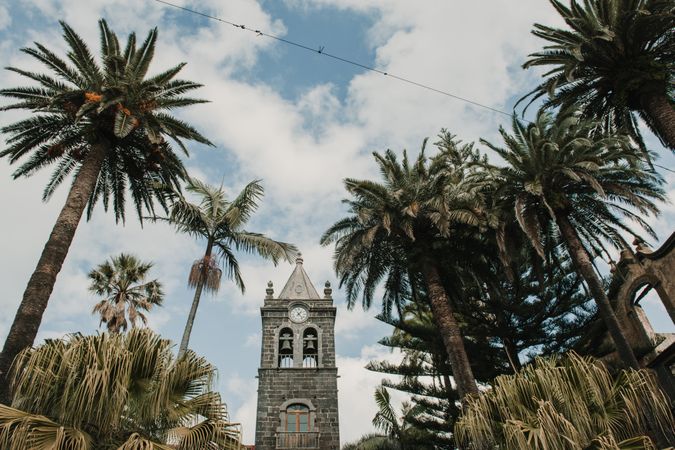 Tropical trees near high retro tower