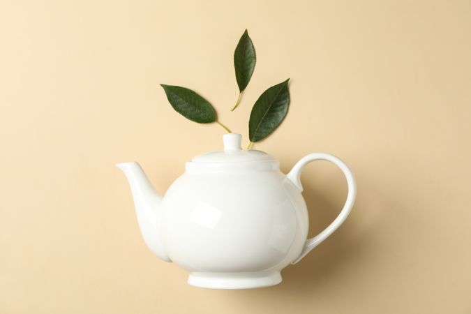 teapot and leaves on color background, space for text