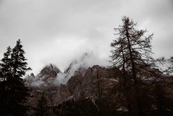 Big mountains near pine forest on cloudy weather