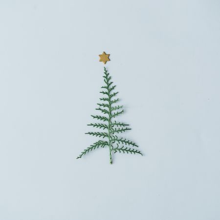 Christmas tree shape made with dingle branch with star on top