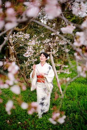 Woman in light floral kimono standing near cherry blossom tree