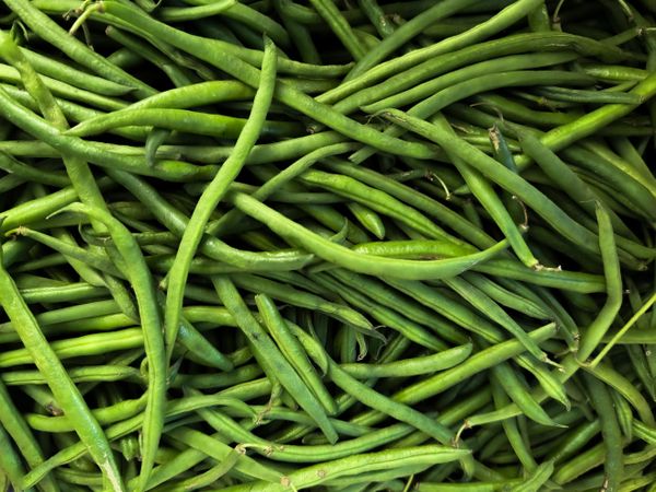 Long green beans for sale