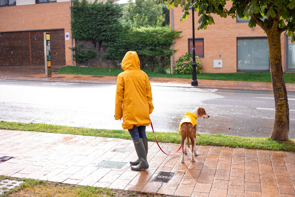 Woman walking with dog in cloak in street