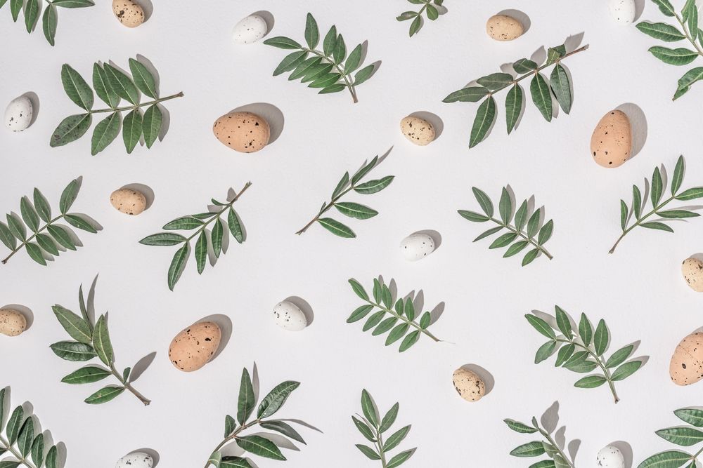 Green branches and brown eggs scattered on light background