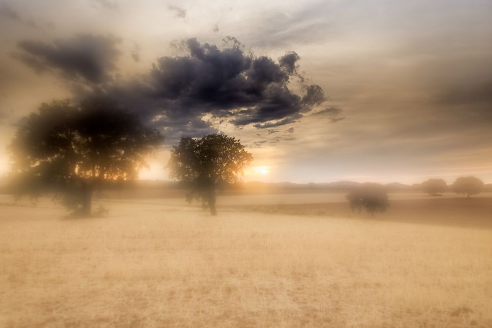 Blurry landscape of tranquil field in overcast