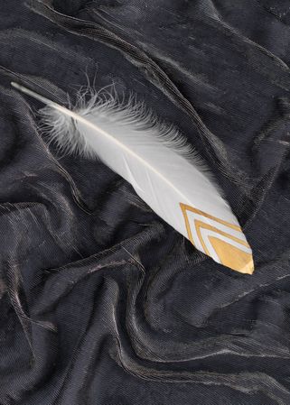 Light feather with gold design on tip