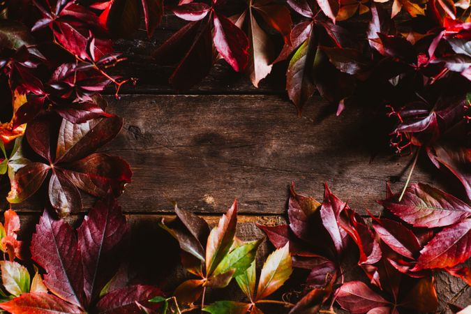Orange and red autumn leaves on wooden surface