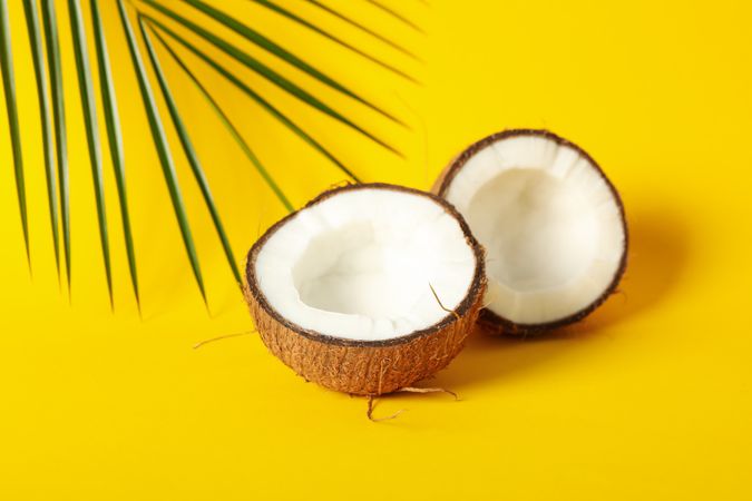 Coconut halves and palm branch on yellow background, close up