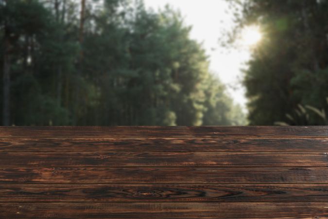 Wooden table against beautiful forest. Mockup. Sunny day