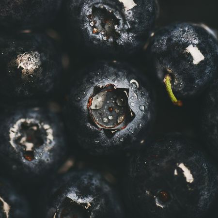 Freshly washed blueberries, square crop, close up of top