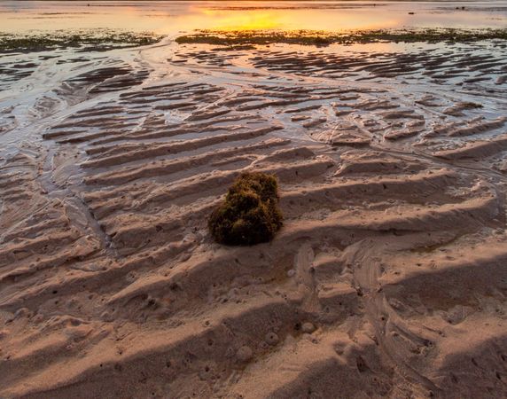 Beach Sand