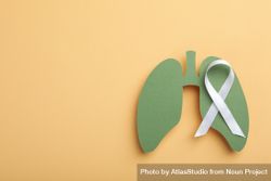 Green lungs cut out of paper with ribbon with copy space 4AalW4