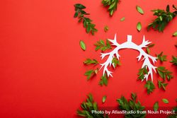 Lung bronchus on red background with ribbon and green foliage with copy space 4ML2x5