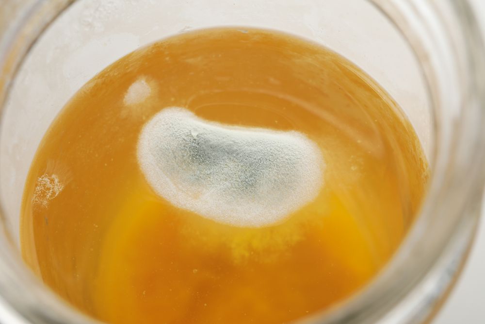 Mold on the liquid in a glass with a natural drink.