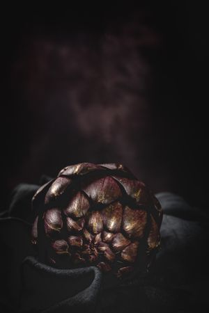 Fresh raw purple artichokes on dark background.