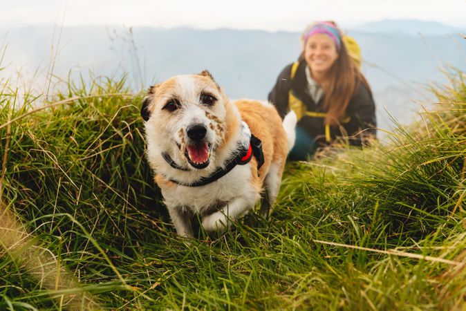 Woman hiker with her dog.
