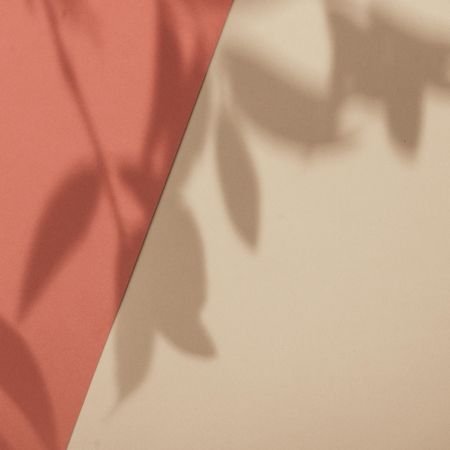 Top view of tropical leaf shadow on orange and sand color background