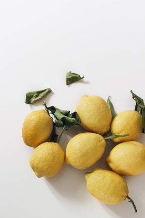 Fresh yellow lemons, dry green leaves