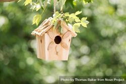 New wooden birdhouse hanging on tree branch 0PYRg5