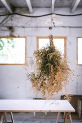 Bunch of plant hanging on thread in room with table