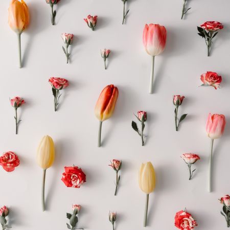 Colorful flowers pattern on light  background